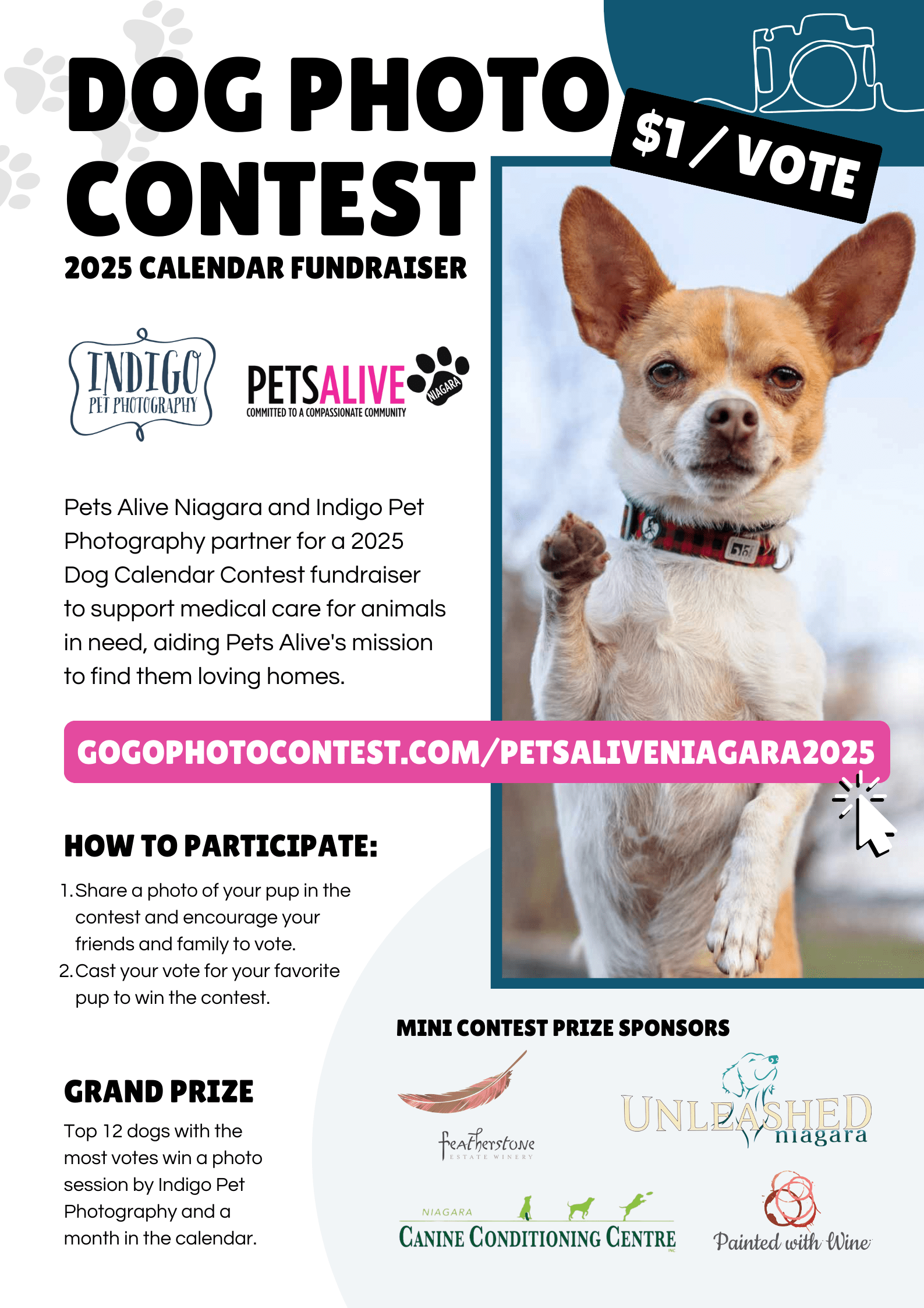 Dog Photo Contest Calendar 2025